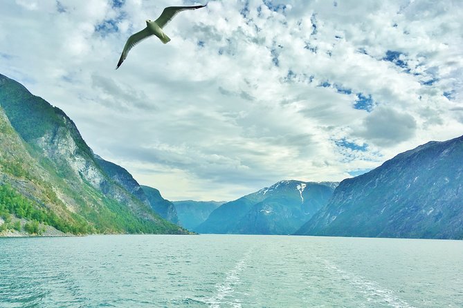 2-Day Round Trip from Bergen: THE GRAND SOGNEFJORD – fjords, waterfalls, glacier - Lærdal and the Sognefjord ferry: old houses before the big water