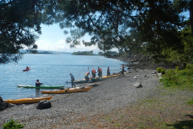 2- hour kayak trip on the Oslo Fjord - Why this 2-hour Oslofjord kayak ride feels like a smart use of time