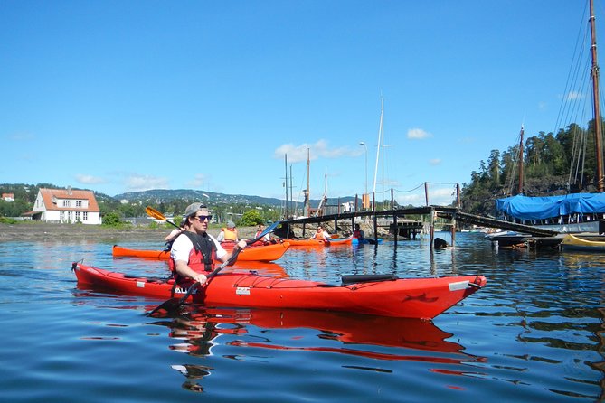 2- hour kayak trip on the Oslo Fjord - Wildlife moments and the reality of weather on the Oslofjord