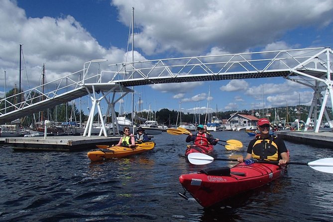 2- hour kayak trip on the Oslo Fjord - Price in plain terms: what $117.91 buys you (and why it can be good value)
