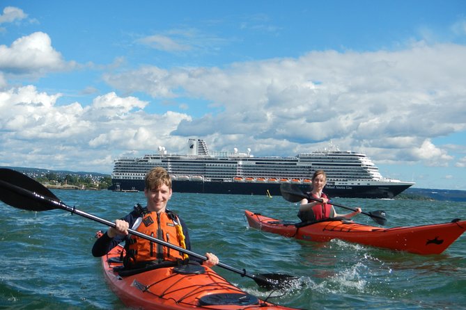 2- hour kayak trip on the Oslo Fjord - Sjølyst Marina to the open water: what this sheltered start really changes