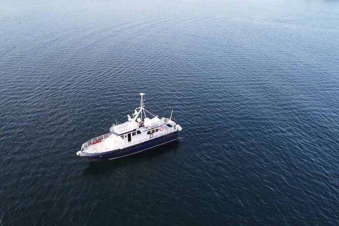 3.5-Hour Arctic Magic with Fjord and Whale Watching Adventure - Best fit: who should book this Arctic Magic adventure