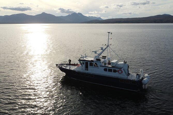 3.5-Hour Arctic Magic with Fjord and Whale Watching Adventure - Markedsgata 6 to the harbor: the part you should not rush