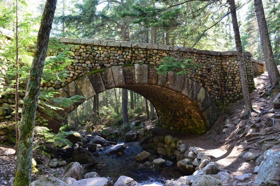 4 Hour Private Tour: Acadia, Fjord, Gardens & Mansions - Asticou Gardens and Somes Sound: the quieter, cooler contrast