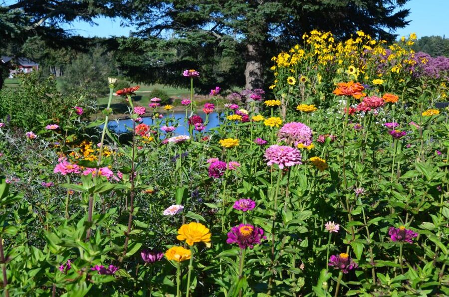 4 Hour Private Tour: Acadia, Fjord, Gardens & Mansions - What to bring, what to expect on the day