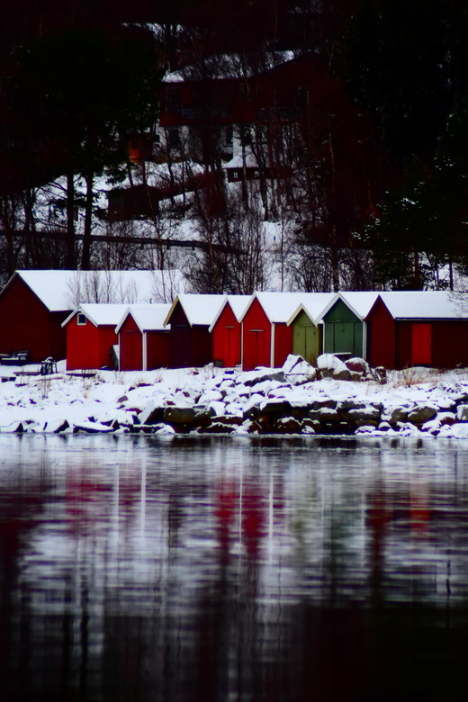 Abisko: Fjord Sightseeing and Photography Tour - Guides, camera help, and why your photos improve on day one