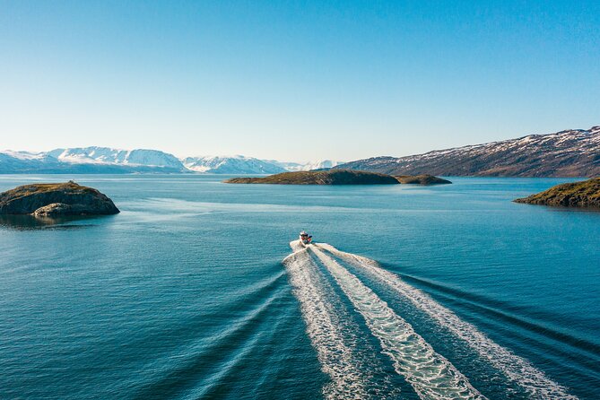 Alta: 2 Hours Guided Adventure Cruise in Alta Fjord - Key highlights you’ll care about