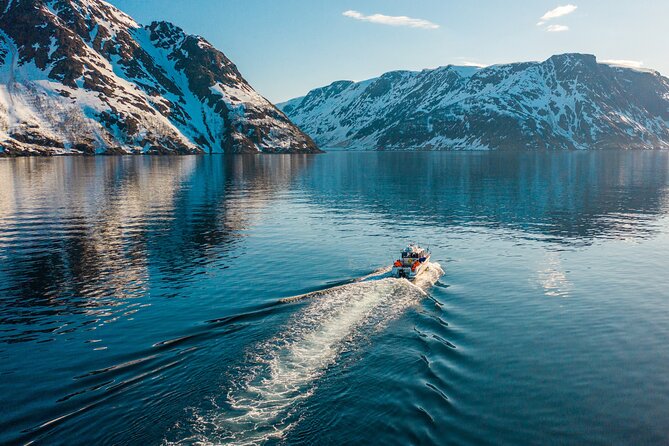Alta: 2 Hours Guided Adventure Cruise in Alta Fjord - Alta Fjord cruise on a two-hour schedule that makes sense
