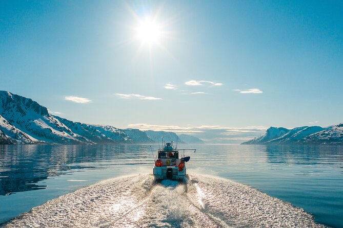 Alta: 2 Hours Guided Adventure Cruise in Alta Fjord - Kåfjord history by boat: why this route feels more real