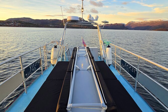 Alta: 2 Hours Guided Adventure Cruise in Alta Fjord - What’s included: warm coverall, gear loans, and real comfort