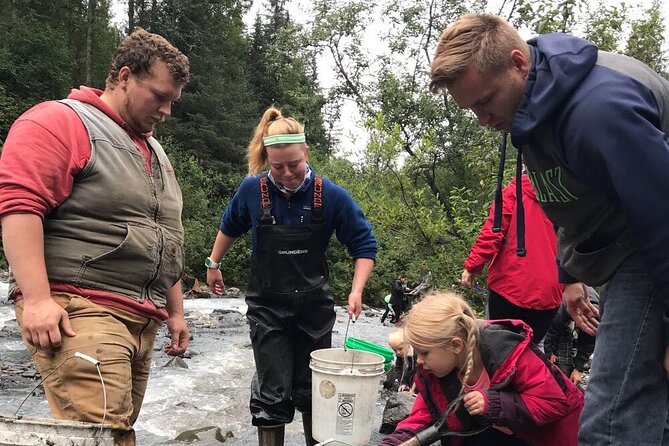 Anchorage: Kenai Fjords & Denali National Park 5 Day 4 Night Tour - What You Should Pack (and How to Think About Alaska Weather)