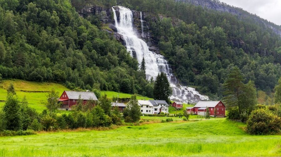 Bergen: Guided Fjord & Glacier Tour to Fjærland - Price and Value: Is $342 Worth It?