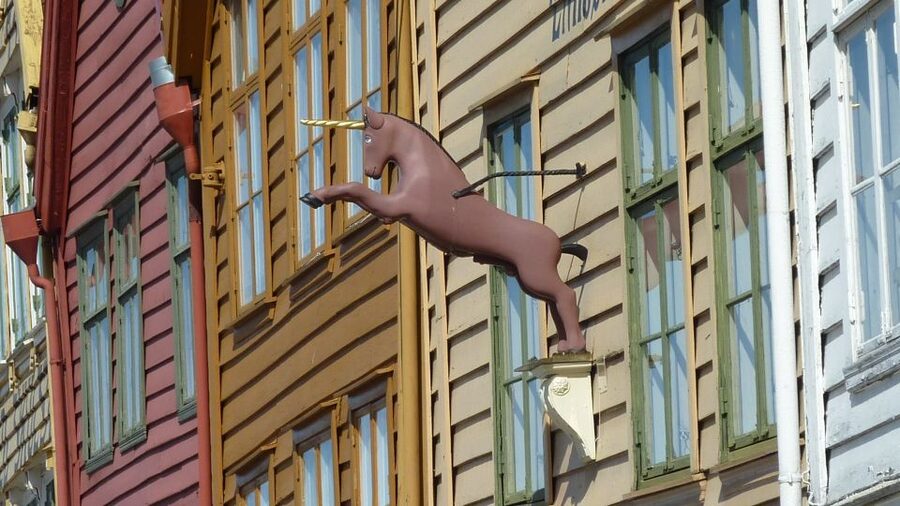 Bergen: Mostraumen Fjord Cruise, Mt Fløyen, City Sightseeing - Meeting point and timing: how to keep the day running smoothly