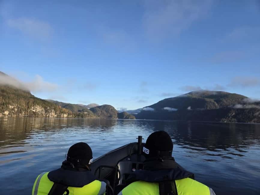 Bergen: Mostraumen Fjord Safari - by Premium RIB Boat - The storytelling: captain insights plus an English audio guide