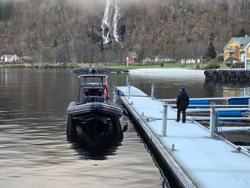Bergen: Mostraumen Fjord Safari - by Premium RIB Boat - Price and value: is $166 for 2.5 hours a good deal?
