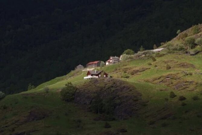 Bergen to Flam "The King of Fjords" One-Way or Round-Trip Cruise Ticket - Who Should Book This Bergen–Flåm Fjord Ferry Ticket