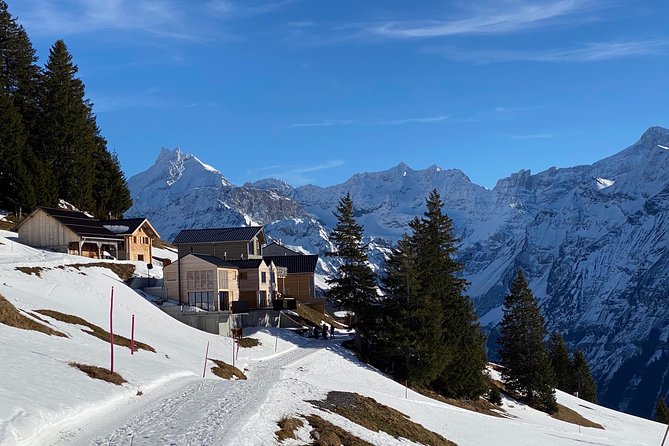 Best of the Uri Alps: A fjord-like lake, glorious peaks and sustainable tourism - Price and value: what you’re really paying for at $360.30