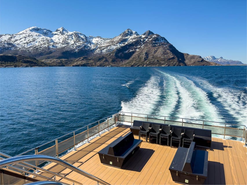 Bodø: Beiar Fjord & Saltstraument Cruise - Saltstraumen Stop: Photo Time and a Wildlife-Literate Guide