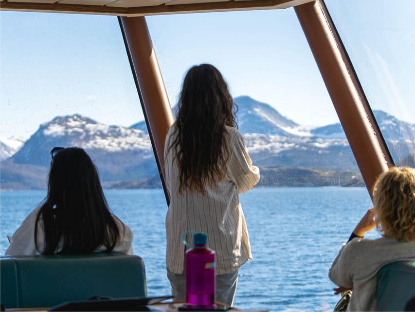 Bodø: Beiar Fjord & Saltstraument Cruise - Who This Cruise Is Best For (and Who Might Skip It)