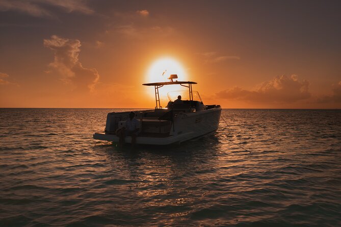 Deluxe Private Boats - 36 ft Fjord - Palancar Reef Snorkel: Quick, Thoughtful, and Focused
