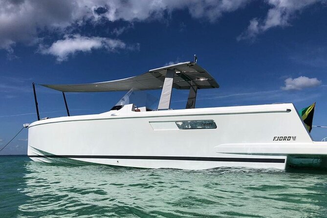 Deluxe Private Boats - 36 ft Fjord - Drinks and Lunch: Premium Open Bar Meets Real Food