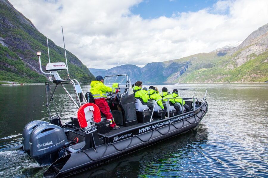 Eidfjord: 1-Hour Fjord RIB Tour - What Makes This Tour Good Value for $83