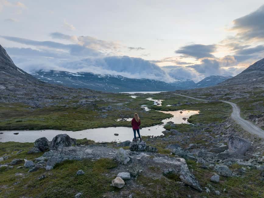 Explore the Norwegian Fjords and the Wildlife from Abisko. - The Secret Stop: Hiking, Shore Watching, and Wildlife Time