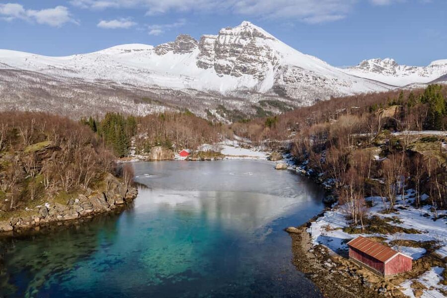 Explore the Norwegian Fjords and the Wildlife from Abisko. - What You Might See (And How to Improve Your Chances)