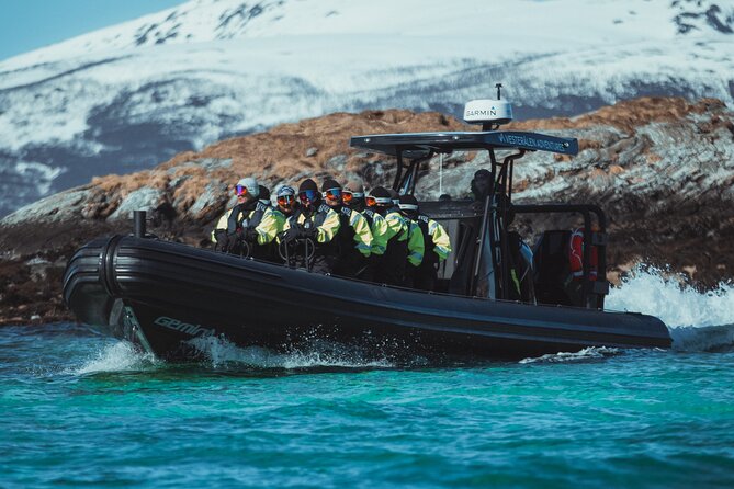 Fjord and Sea Eagle Safari from Sortland - Sortland departure point: where to start and how the timing feels