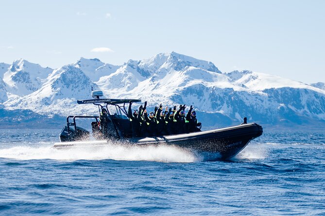 Fjord and Sea Eagle Safari from Sortland - Stop 1 in Sortlandsundet: fjord variety with eagle-spotting built in