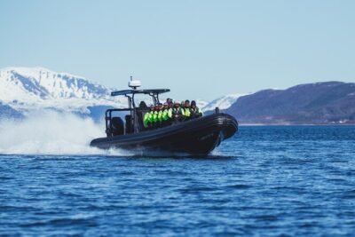 Fjord and Sea Eagle Safari from Sortland - What the sea eagle safari is really like on the water