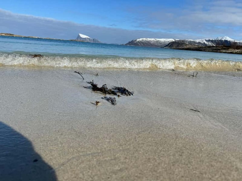 Fjord Foto Tour to Sommaroy (Roadtrip) - Who should book this Sommarøy road trip, and who shouldn’t