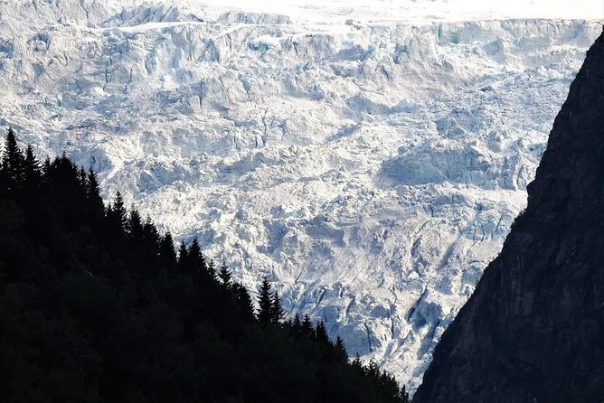 Fjord & Glacier Tour - From VOSS - Key things to know before you go