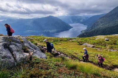 Fjord Hiking - Private tour - The 6-hour flow: from Fish Me Fishmarket to a summit view and back