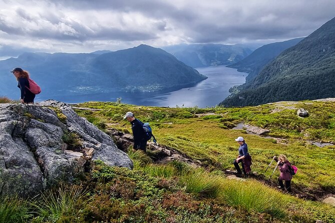 Fjord Hiking - Private tour - The 6-hour flow: from Fish Me Fishmarket to a summit view and back