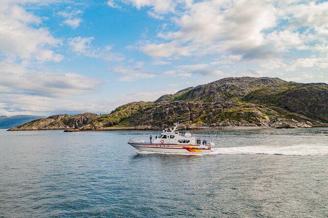 Fjord Safari in the Altafjord - Key things to know before you go
