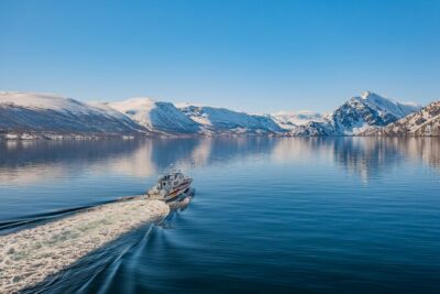 Fjord Safari in the Altafjord - The Altafjord stretch: wildlife spotting plus real Finnmark context