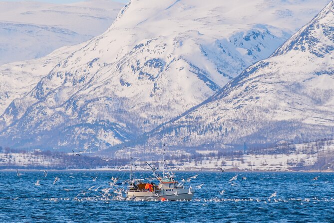 Fjord Safari in the Altafjord - What’s included (and how it helps in cold fjord weather)
