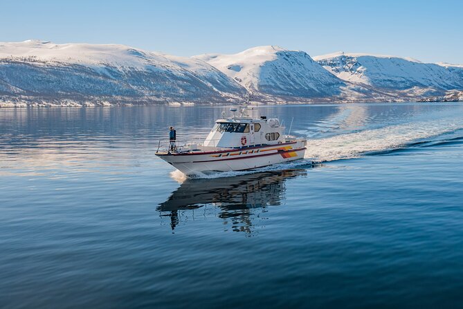 Fjord Safari in the Altafjord - Who this fjord safari is best for