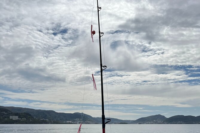 Fjord Sea Safari with Fishing from Bergen - Hands-On Fishing: Bait, Hooks, and Coaching That Feels Practical