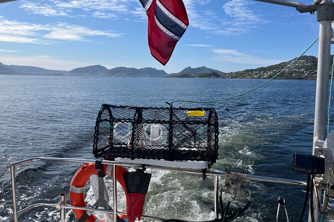 Fjord Sea Safari with Fishing from Bergen - Viewing Bergen From the Water: Why This Beats a Checklist Cruise