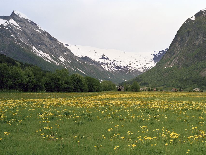 Fjords: Private Trip with Train and Cruise Ride - Flåm by Boat First: The Sognefjord Cruise in Real Motion