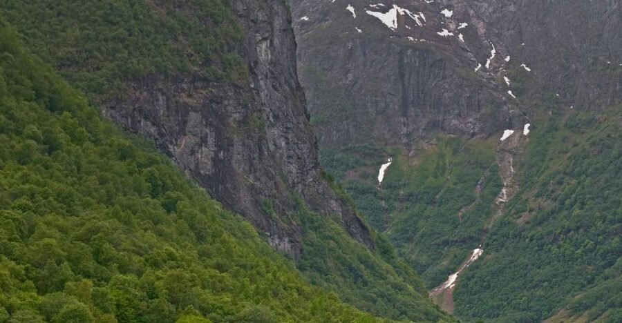 Fjords: Private Trip with Train and Cruise Ride - Flåm Railway: The Train Ride That Turns Elevation Into Drama