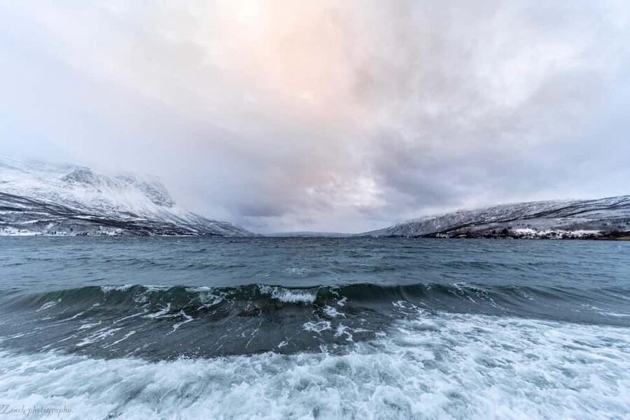 From Abisko: Narvik City and Fjord Day Trip - Should You Book This Abisko to Narvik Fjord Day Trip?