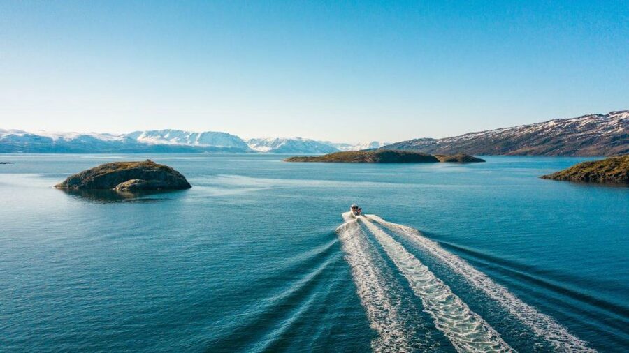 From Alta: Adventure Cruise in Alta Fjord - Key highlights worth choosing this cruise