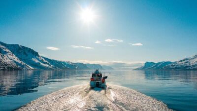 From Alta: Adventure Cruise in Alta Fjord - Altafjord cruising: what you’ll see besides water