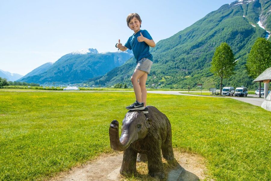 From Balestrand: Guided Fjord & Glacier Tour to Fjærland - How the Guide and Boat Ride Make the Day Worth It