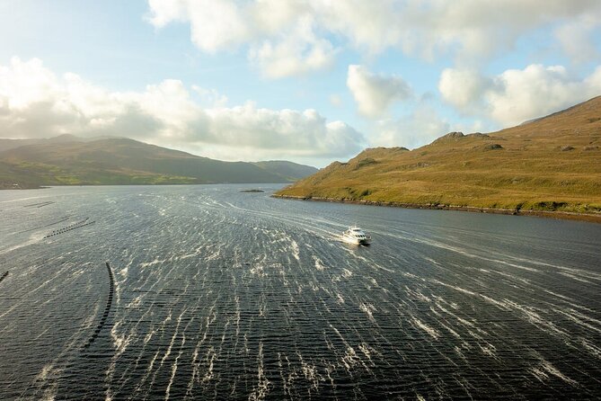 From Dublin: Kylemore Abbey, Connemara, Killary Fjord & Galway - Price and value: what you’re really paying for