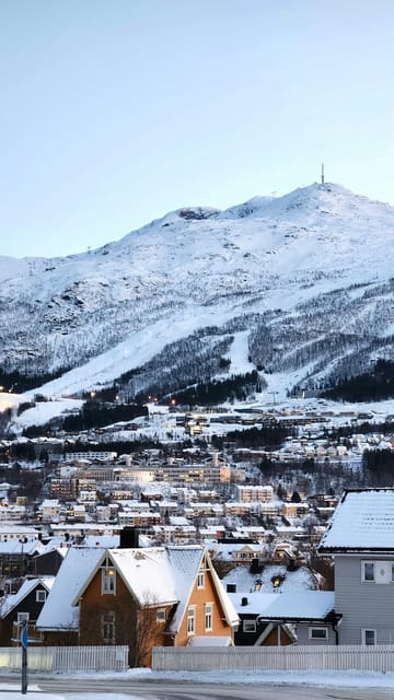 From Kiruna: Narvik City and Fjord Day Trip - Crossing into Norway and arriving in Narvik