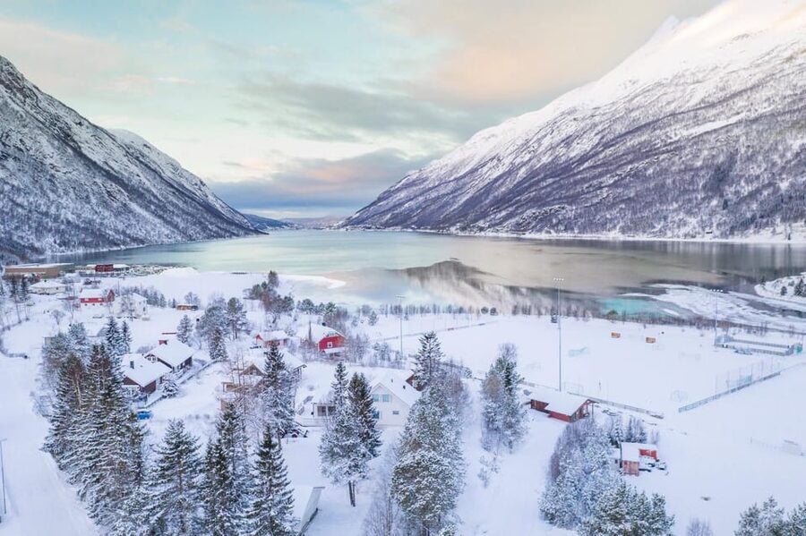 From Kiruna: Narvik City and Fjord Day Trip - Guides in English: Daniel, Lukas, Leonie, and Greg at their best